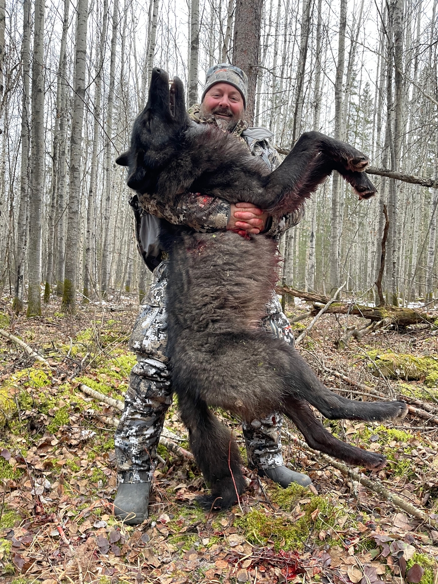 Alberta Wolf Hunts Alberta Wolf Hunts